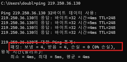 ping + dns 서버 주소 입력 이미지